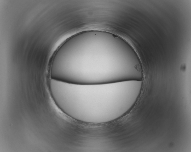 X0000111611147200907171034