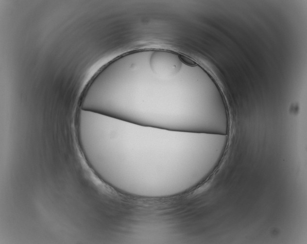 X0000111611149200907171034