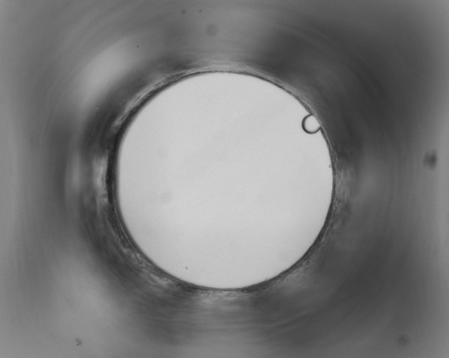 X0000111611150200907171034