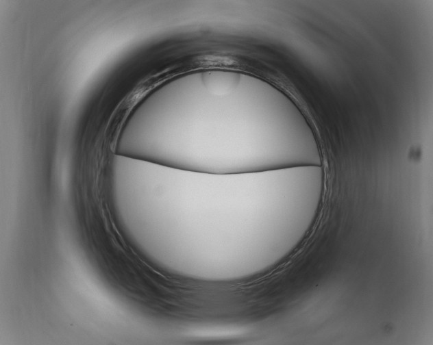 X0000111611151200907171034