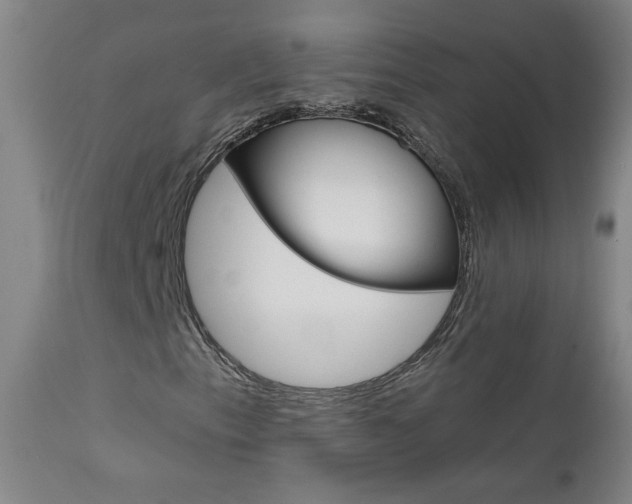 X0000111611153200907171033