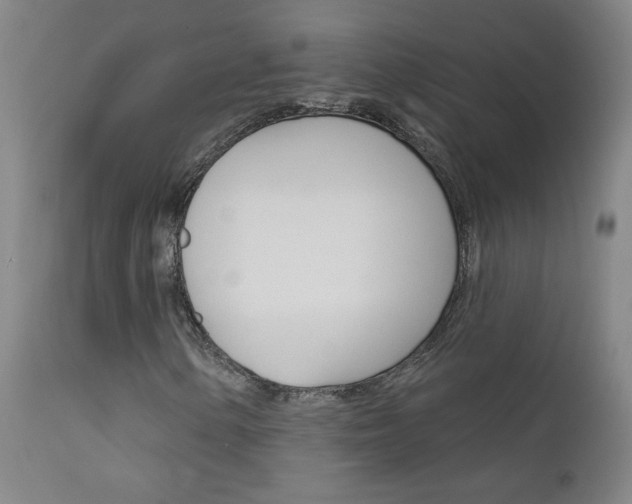 X0000111611154200907171033
