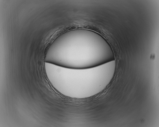 X0000111611155200907171033