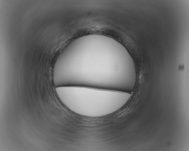 X0000111611156200907171033