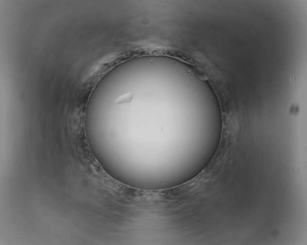 X0000111611157200907171033