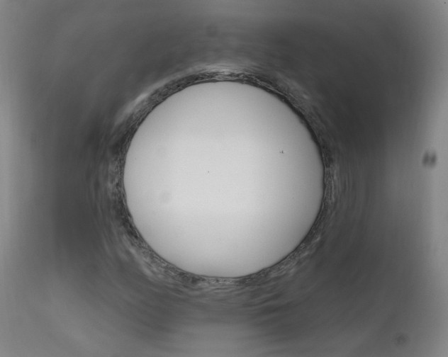 X0000111611158200907171033