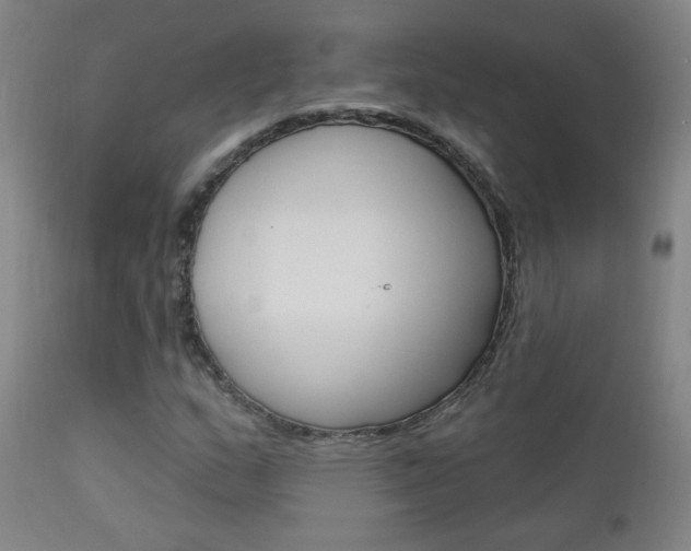 X0000111611159200907171032