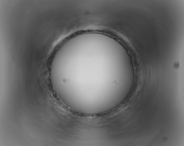 X0000111611160200907171032