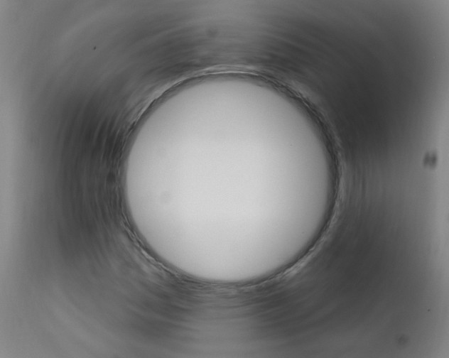 X0000111611161200907171032