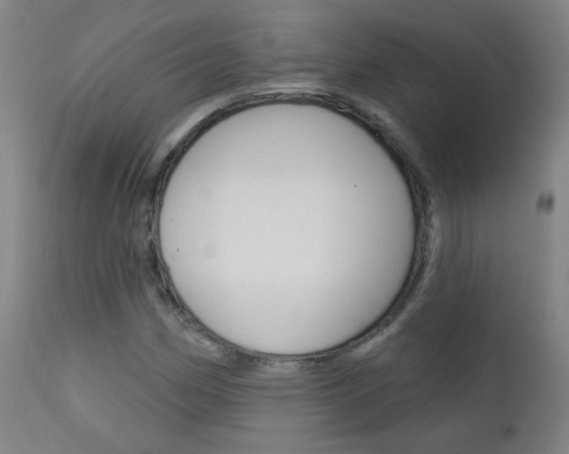 X0000111611162200907171032