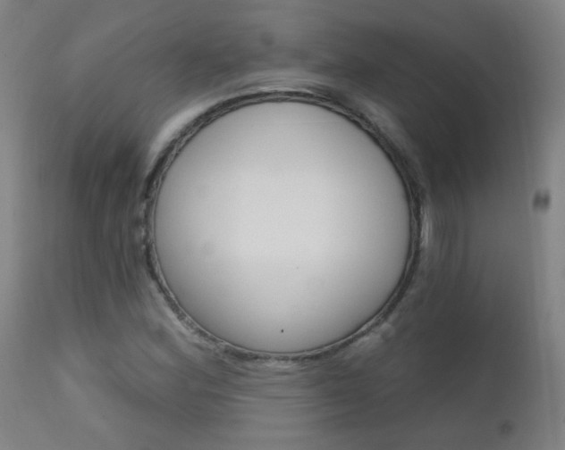 X0000111611164200907171032