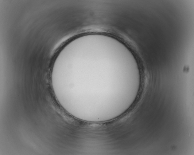 X0000111611166200907171032