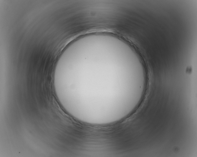 X0000111611169200907171032