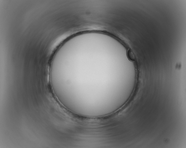 X0000111611171200907171032