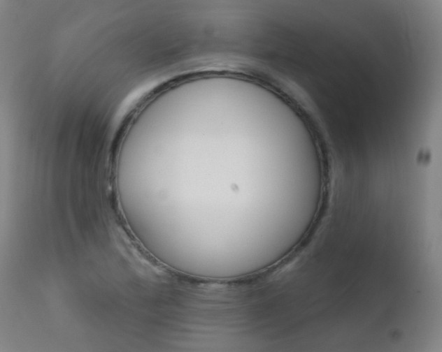 X0000111611172200907171032