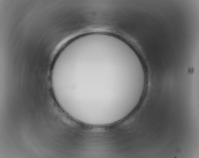 X0000111611174200907171032