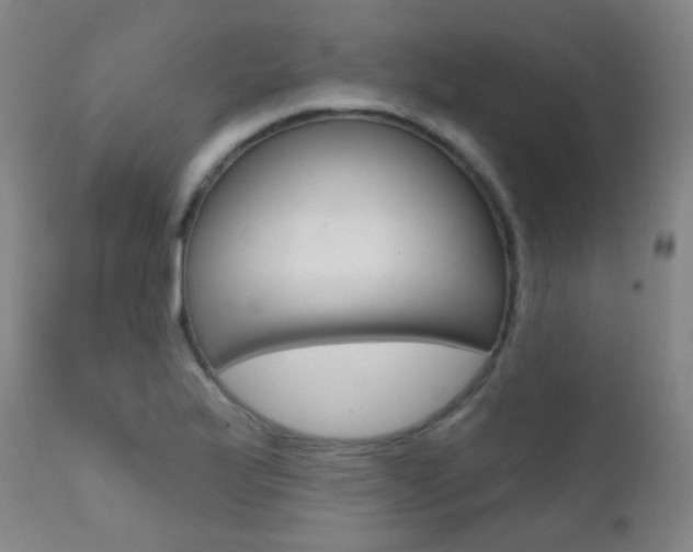 X0000111611175200907171032
