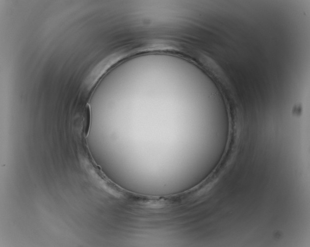 X0000111611177200907171032
