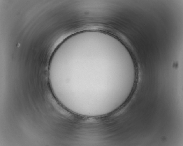 X0000111611178200907171032