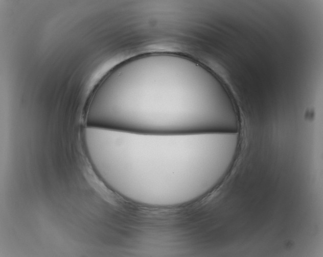 X0000111611179200907171032