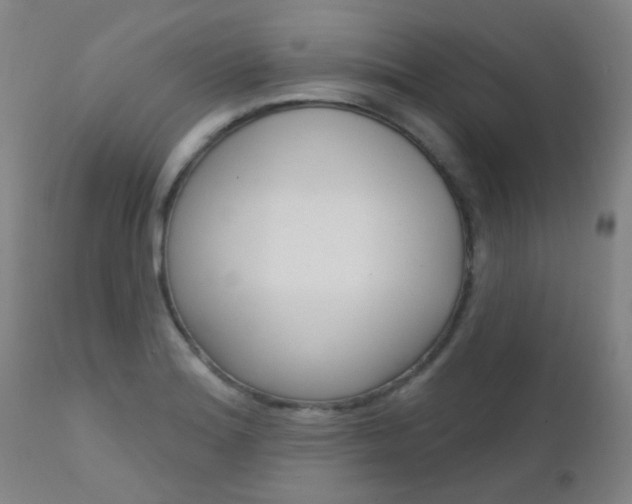 X0000111611180200907171032