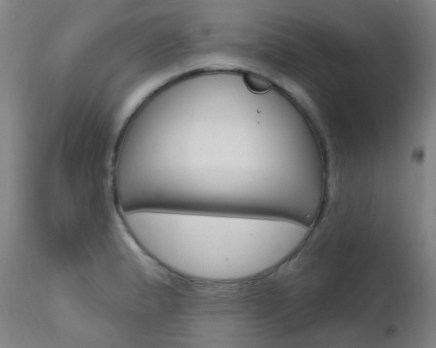 X0000111611183200907171032