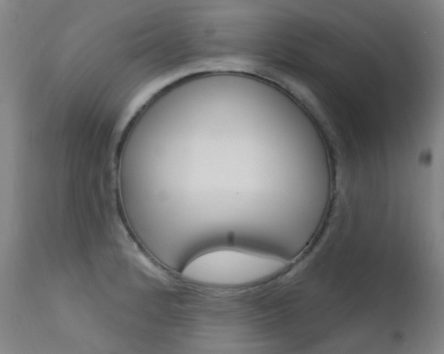 X0000111611184200907171032