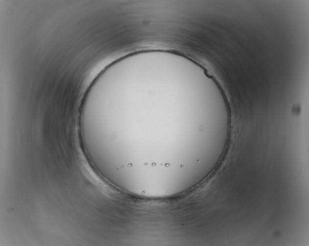 X0000111611187200907171032