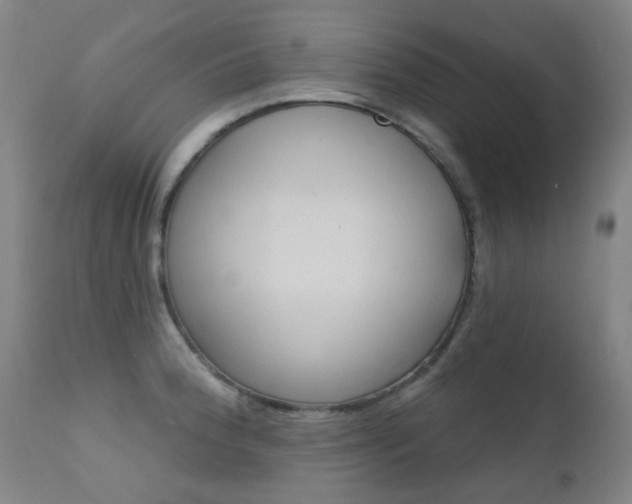 X0000111611188200907171032