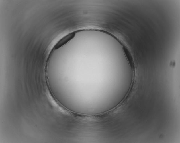 X0000111611189200907171032