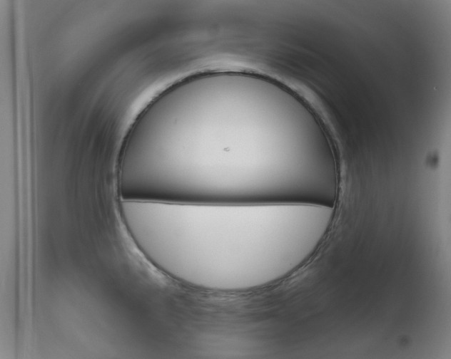 X0000111611191200907171032