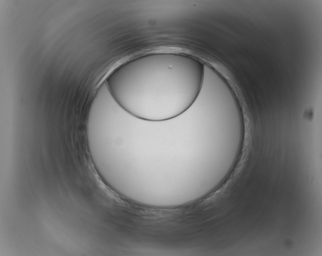 X0000111611193200907171032
