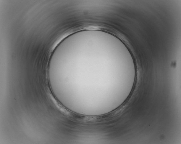 X0000111611194200907171032