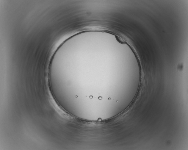 X0000111611195200907171032