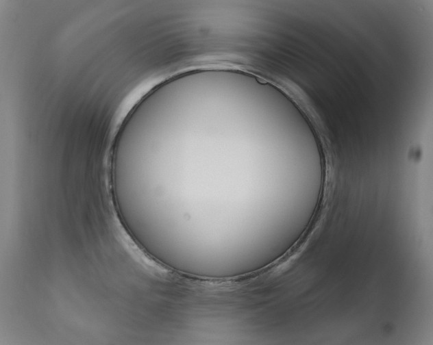 X0000111611196200907171032