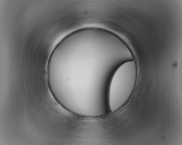 X0000111611199200907171032