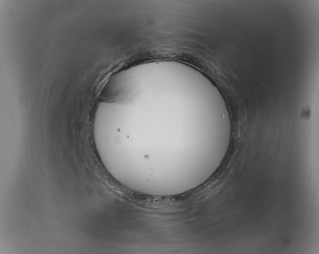 X0000111611201200907171031