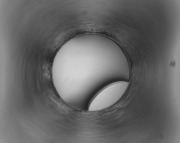 X0000111611202200907171031