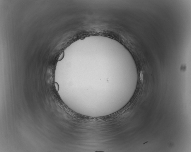 X0000111611203200907171031