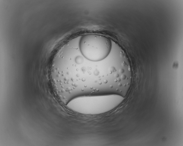 X0000111611205200907171031