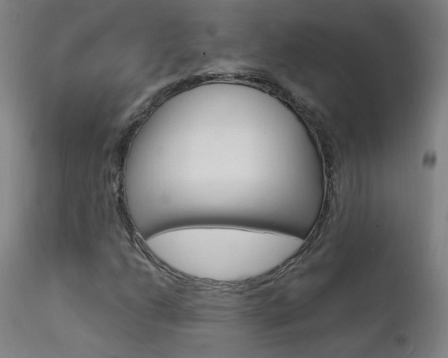 X0000111611206200907171031