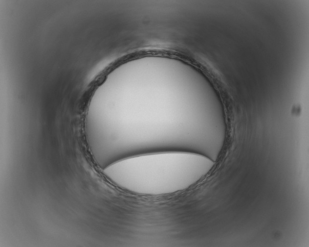 X0000111611208200907171031