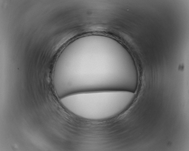 X0000111611209200907171031