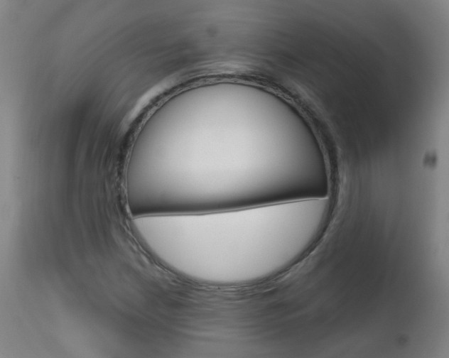 X0000111611210200907171031