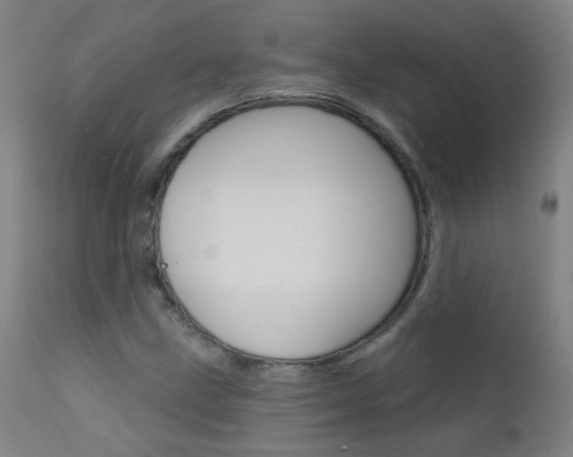 X0000111611211200907171031