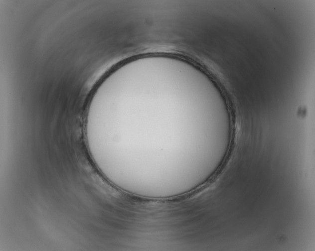 X0000111611212200907171031