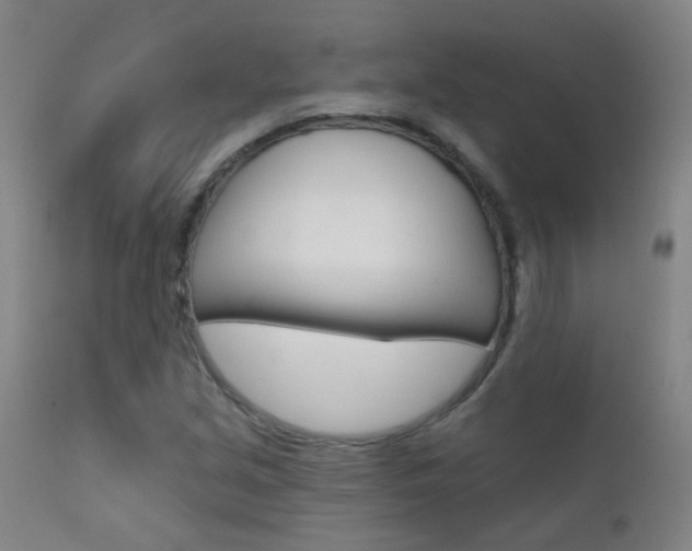 X0000111611213200907171031