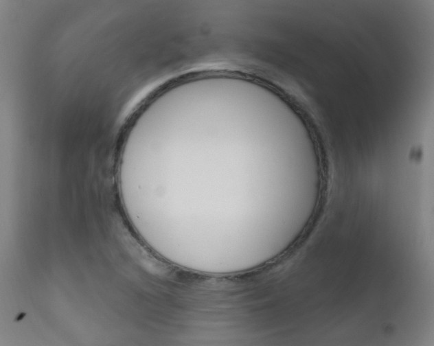 X0000111611216200907171031