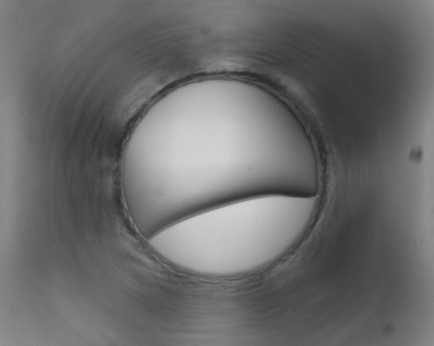 X0000111611217200907171031