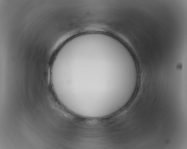 X0000111611219200907171031